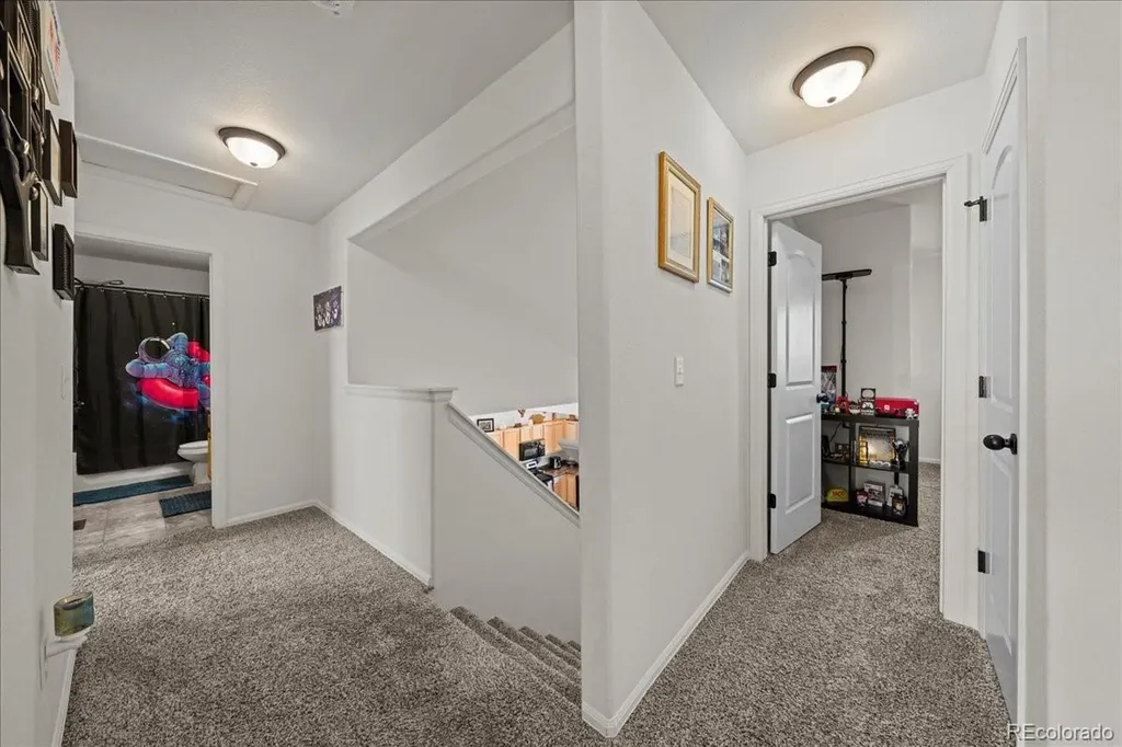 949 Ashbrook Drive Windsor CO 80550