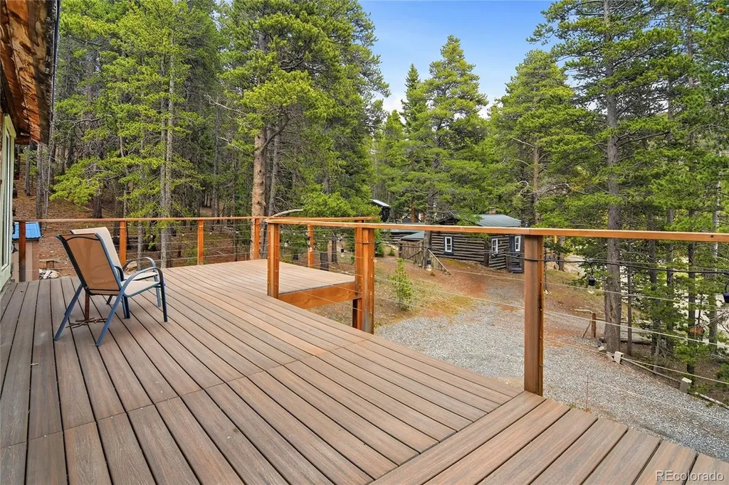 185 Alice Road Idaho Springs CO 80452