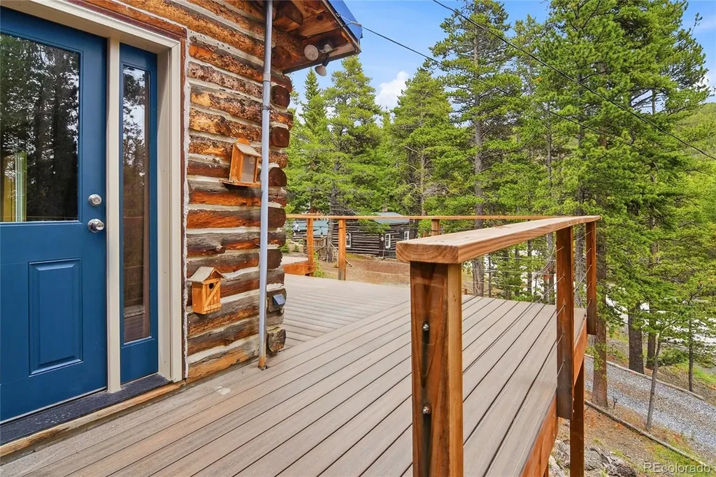 185 Alice Road Idaho Springs CO 80452