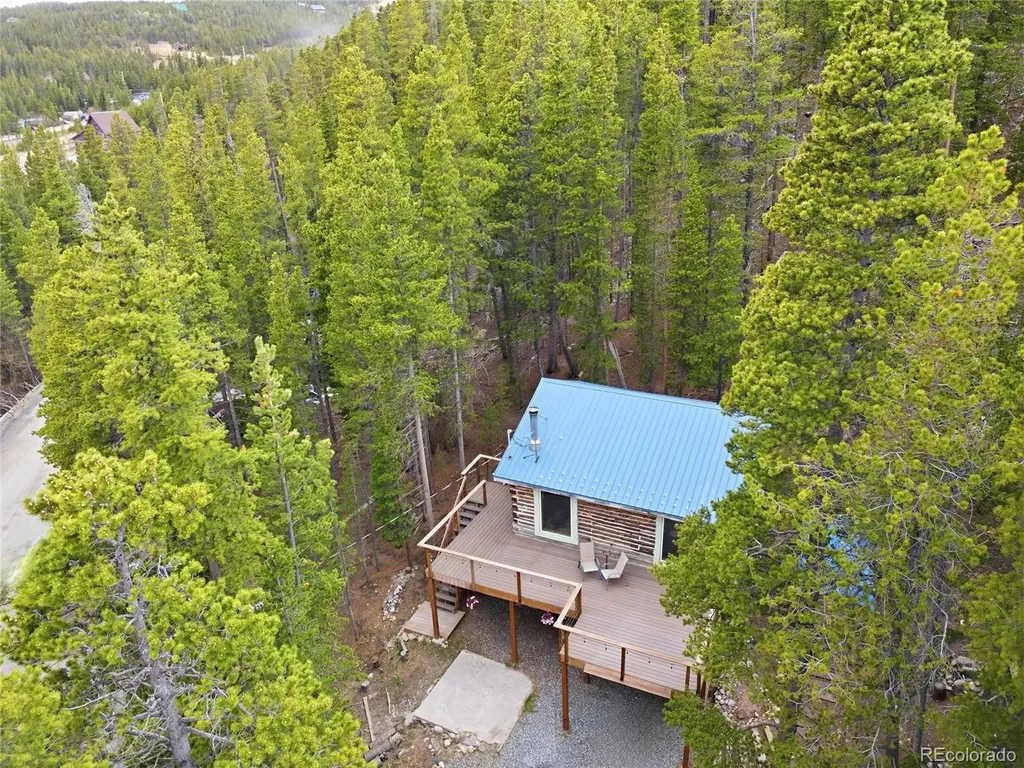 185 Alice Road Idaho Springs CO 80452