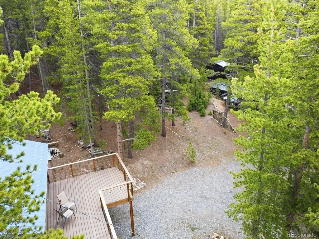 185 Alice Road Idaho Springs CO 80452