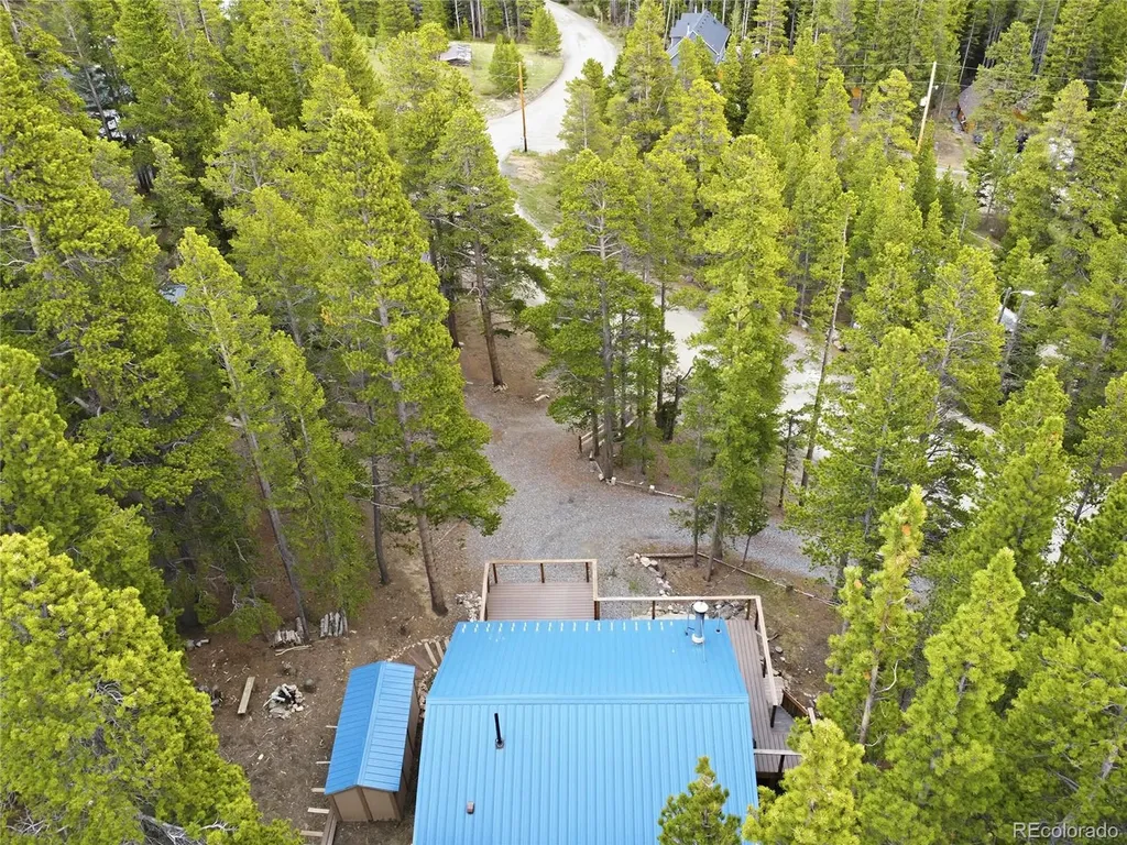185 Alice Road Idaho Springs CO 80452