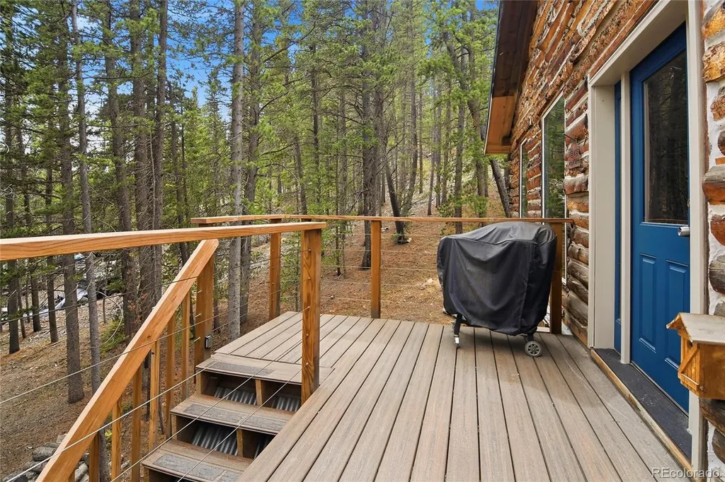 185 Alice Road Idaho Springs CO 80452