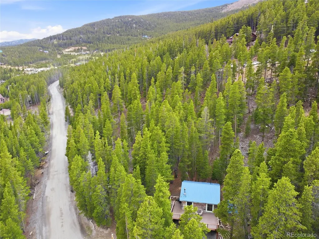 185 Alice Road Idaho Springs CO 80452