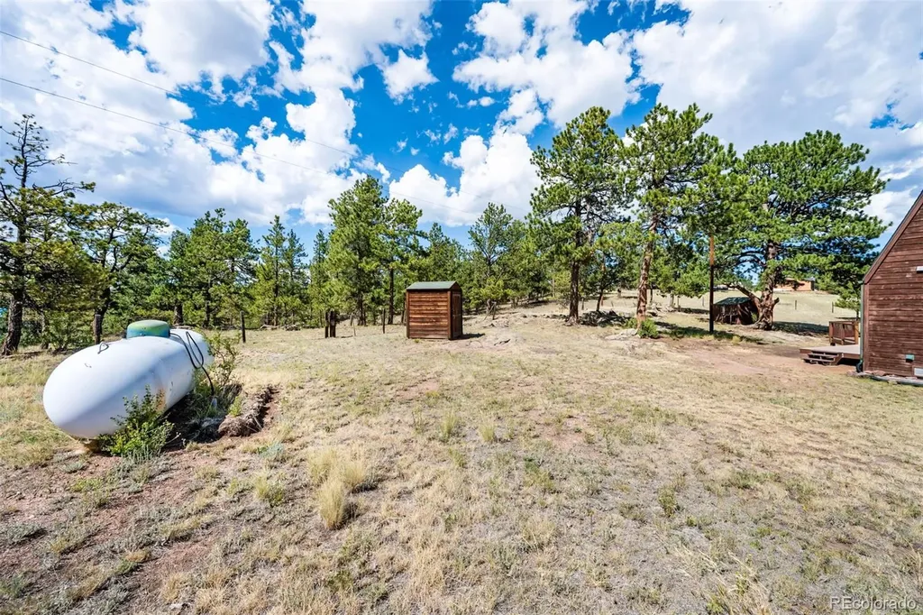 363 Arrowhead Drive Florissant CO 80816
