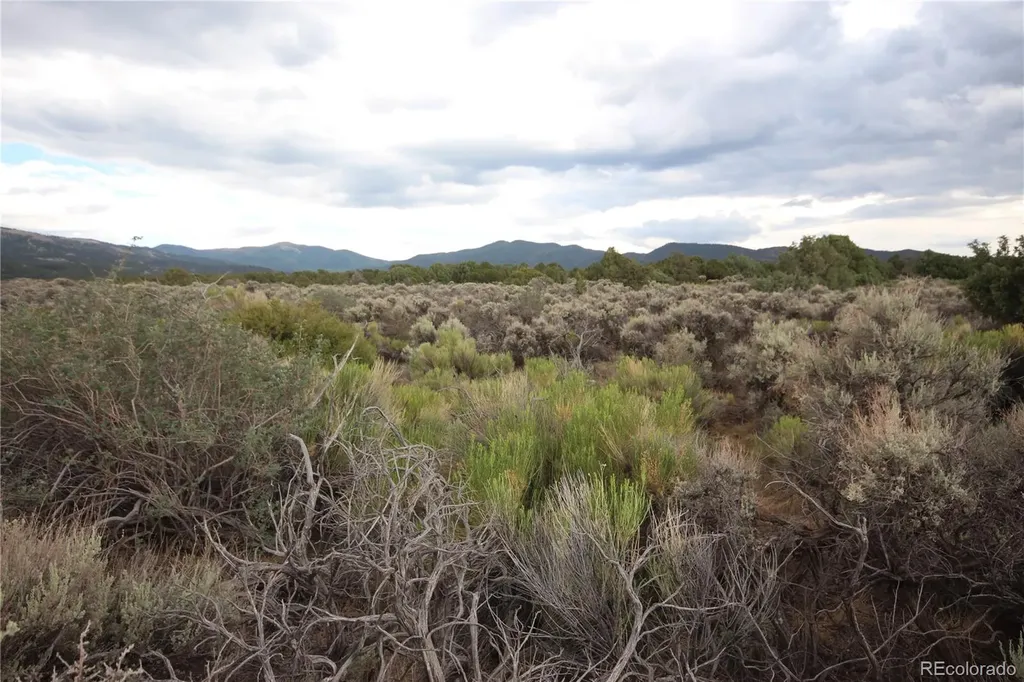 Lot 1783 Bateman Road Fort Garland CO 81133