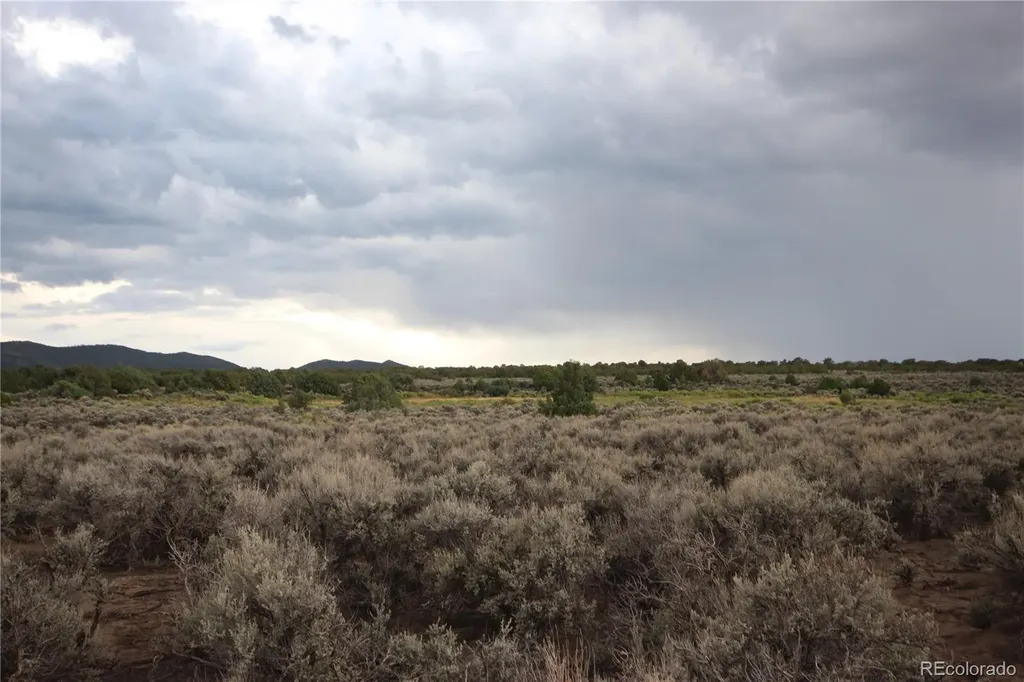 Lot 1783 Bateman Road Fort Garland CO 81133