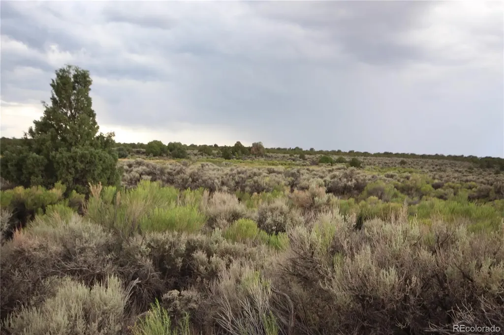 Lot 1783 Bateman Road Fort Garland CO 81133