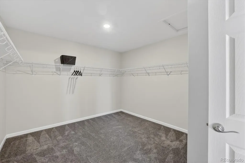 936 Alpine Ridge Street Erie CO 80516