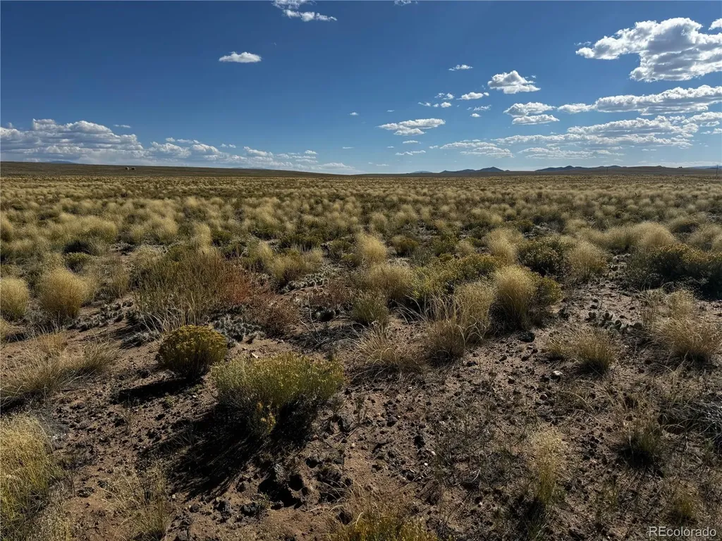 Lot 7 Little Beaver Road San Luis CO 81152
