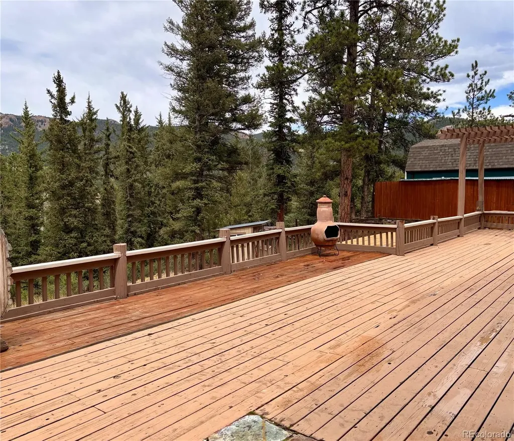 12447 S Danny Avenue Pine CO 80470