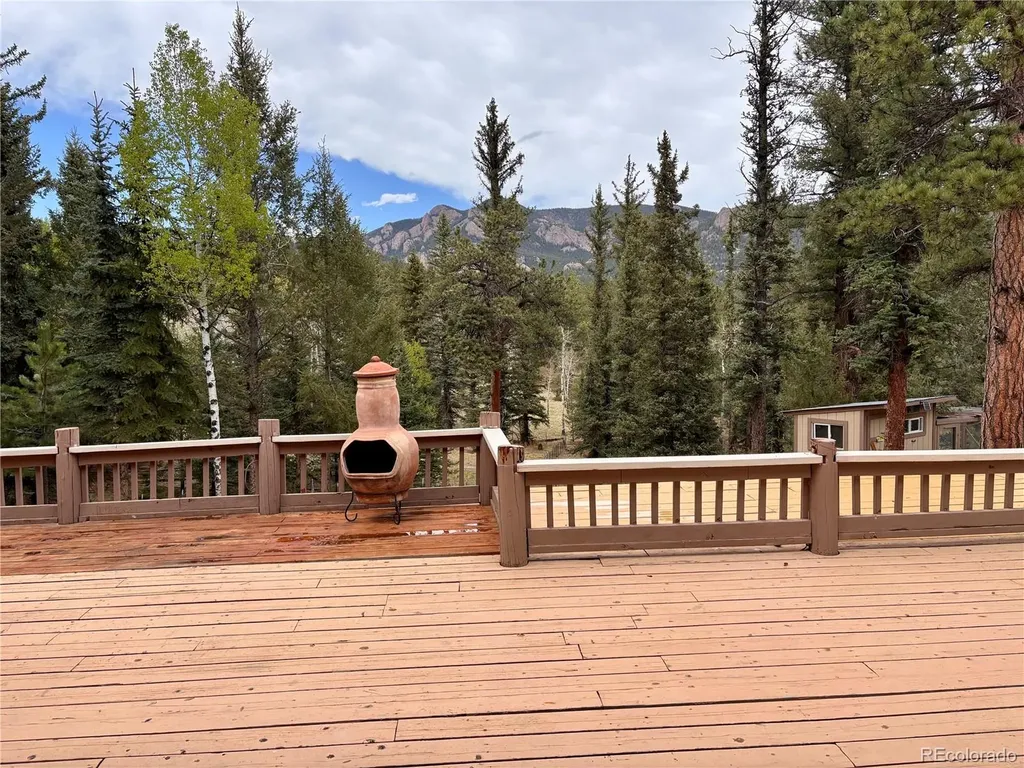 12447 S Danny Avenue Pine CO 80470