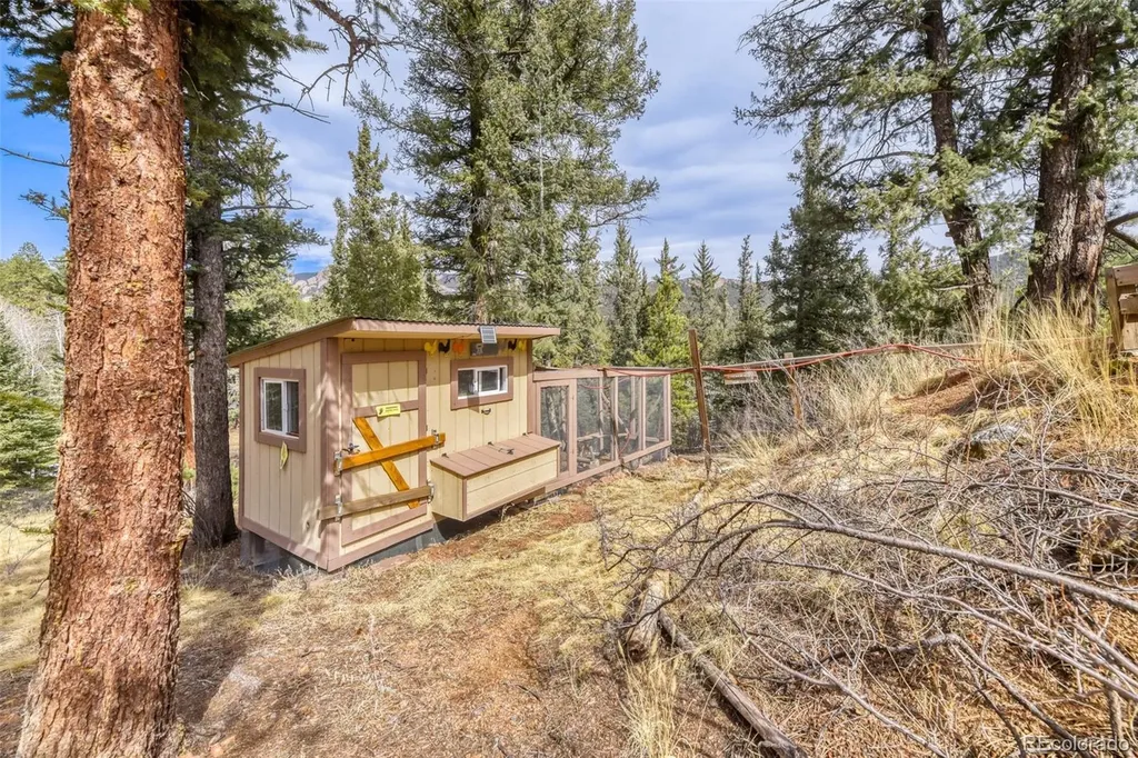 12447 S Danny Avenue Pine CO 80470