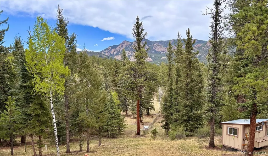 12447 S Danny Avenue Pine CO 80470