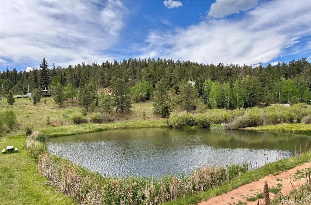 12447 S Danny Avenue Pine CO 80470