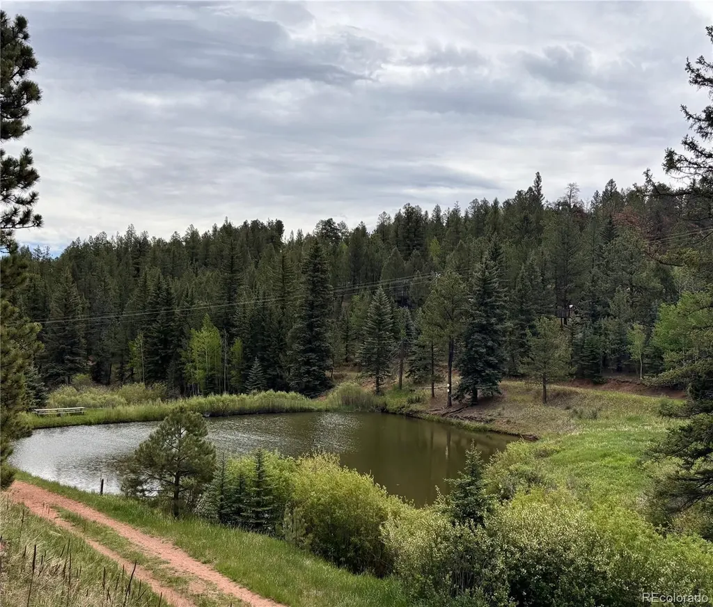 12447 S Danny Avenue Pine CO 80470