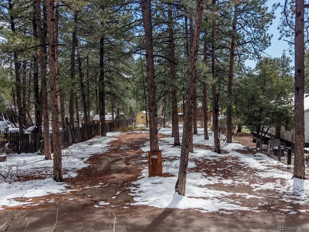 9231 Curtis Road Larkspur CO 80118