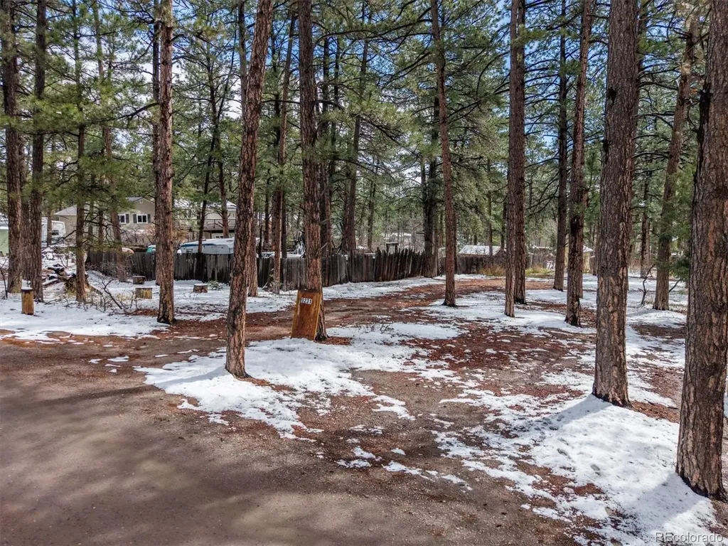 9231 Curtis Road Larkspur CO 80118