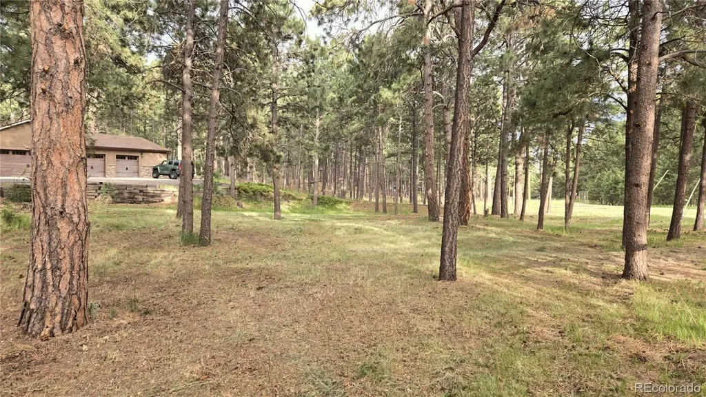 7220 Mcshane Road Colorado Springs CO 80908