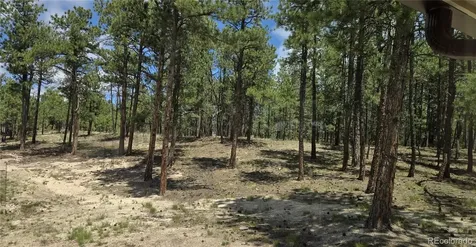 7220 Mcshane Road Colorado Springs CO 80908