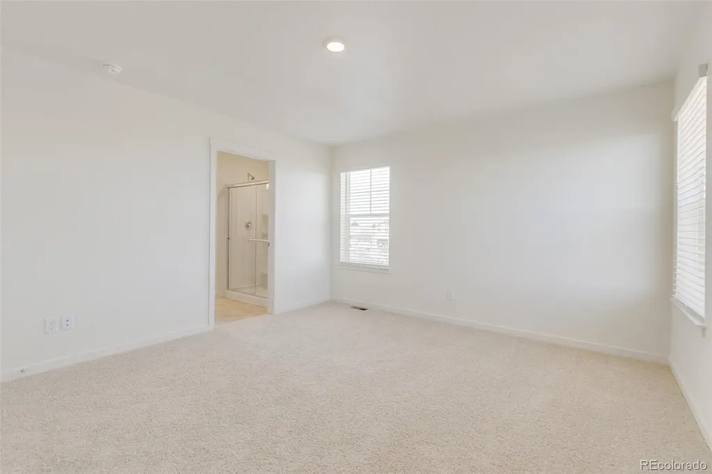 1505 Pinnacle Avenue Brighton CO 80603