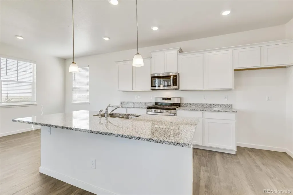 1505 Pinnacle Avenue Brighton CO 80603