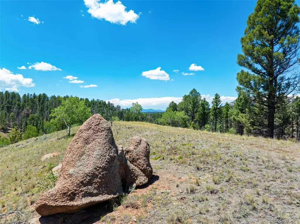 404 Morning Star Creek Trail Florissant CO 80816