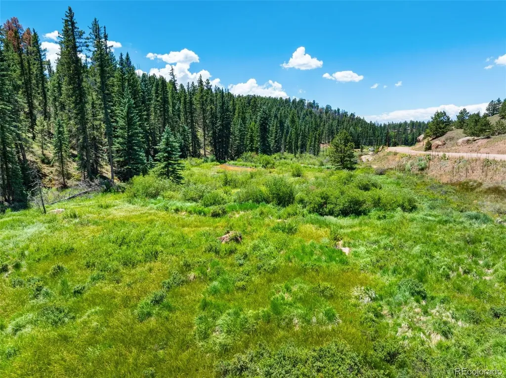 404 Morning Star Creek Trail Florissant CO 80816