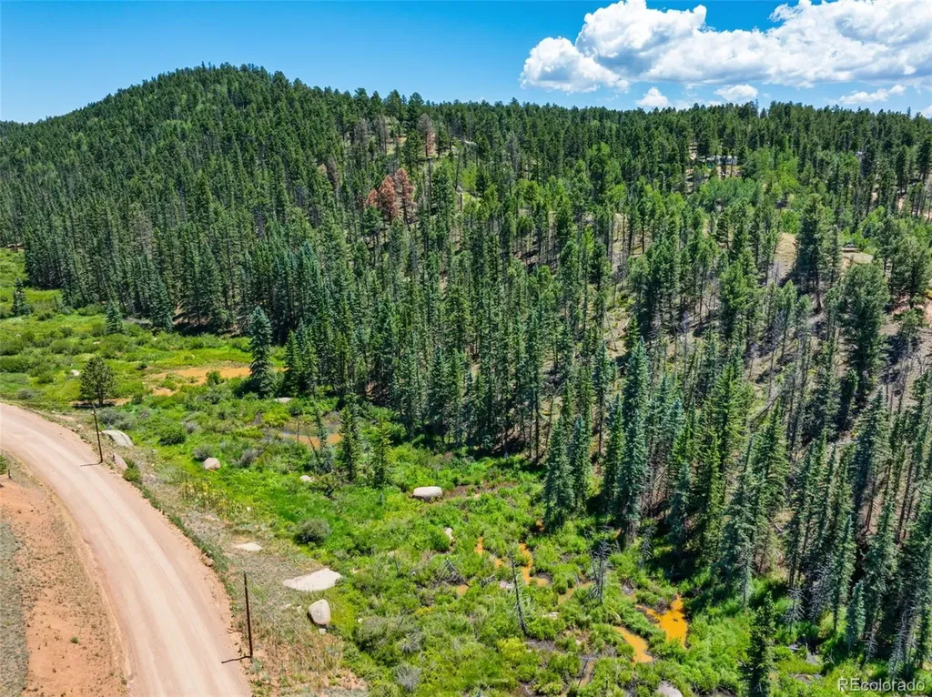 404 Morning Star Creek Trail Florissant CO 80816