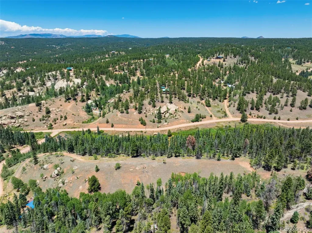 404 Morning Star Creek Trail Florissant CO 80816