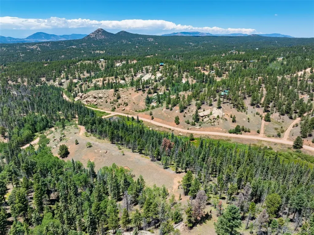 404 Morning Star Creek Trail Florissant CO 80816