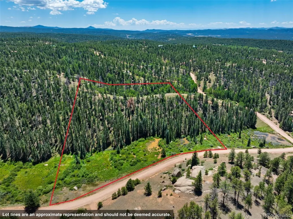 404 Morning Star Creek Trail Florissant CO 80816