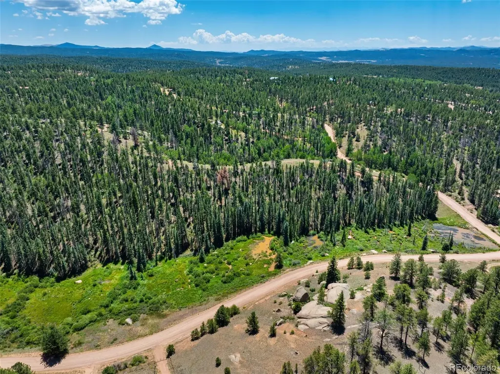 404 Morning Star Creek Trail Florissant CO 80816