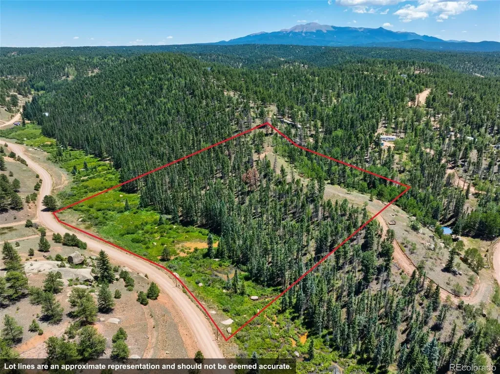 404 Morning Star Creek Trail Florissant CO 80816