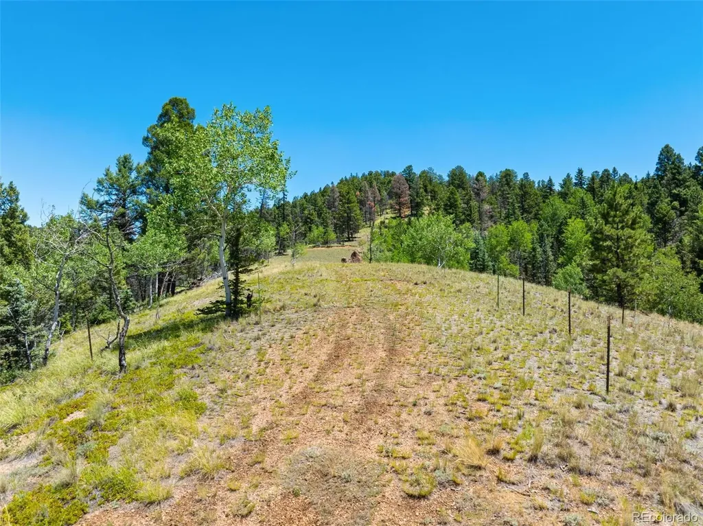 404 Morning Star Creek Trail Florissant CO 80816