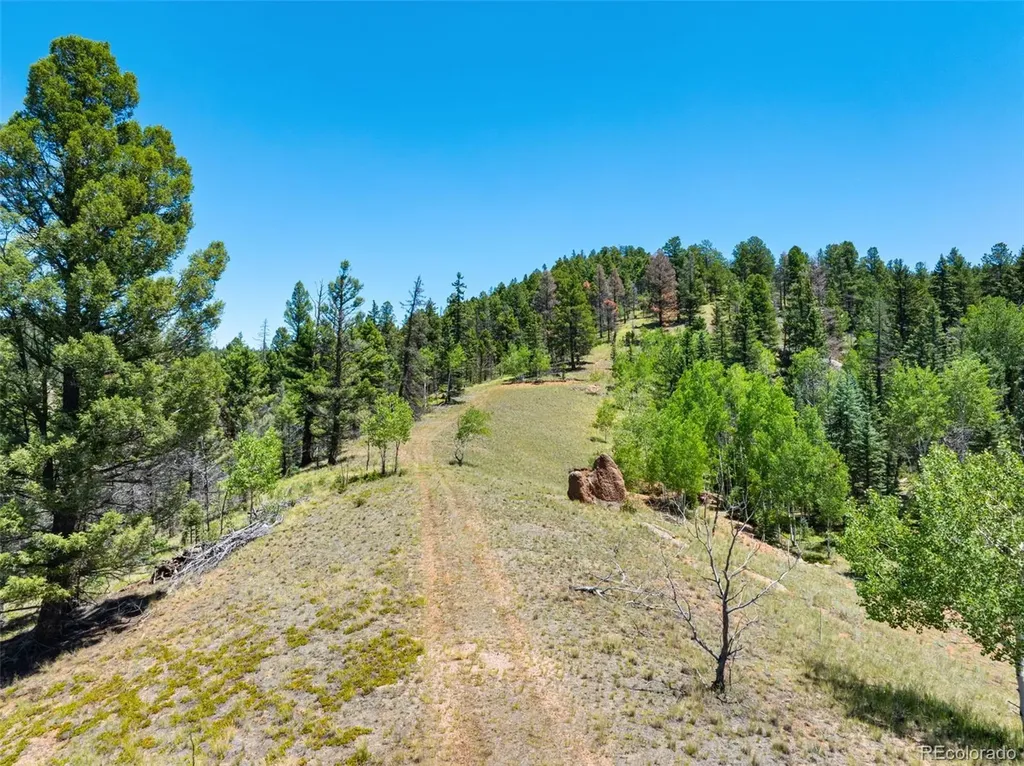 404 Morning Star Creek Trail Florissant CO 80816