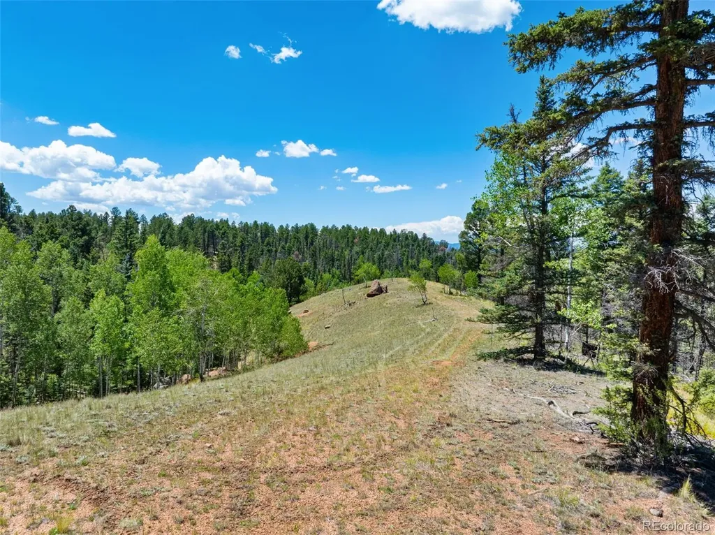 404 Morning Star Creek Trail Florissant CO 80816