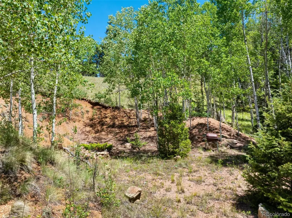 404 Morning Star Creek Trail Florissant CO 80816