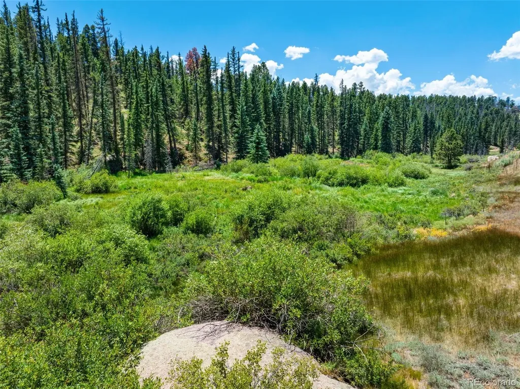 404 Morning Star Creek Trail Florissant CO 80816