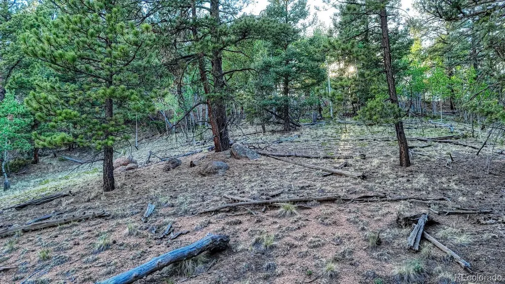 364 Blue Spruce Road Divide CO 80814