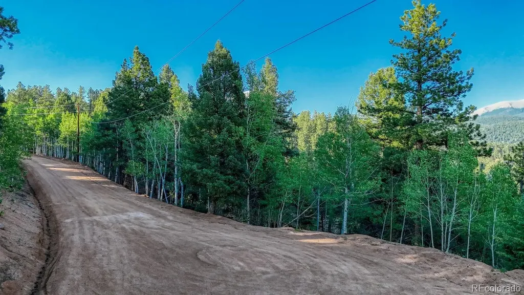 364 Blue Spruce Road Divide CO 80814