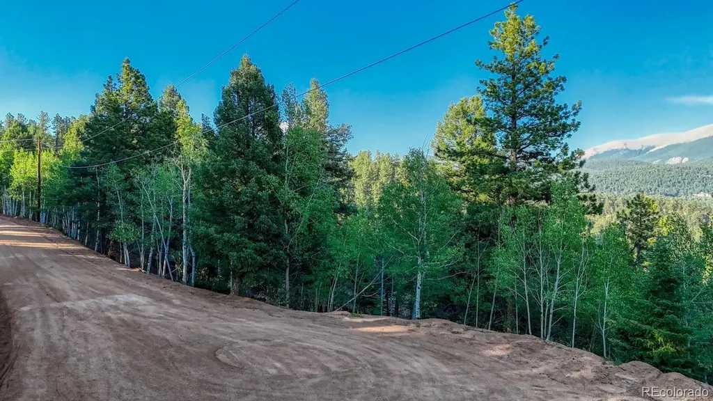 364 Blue Spruce Road Divide CO 80814