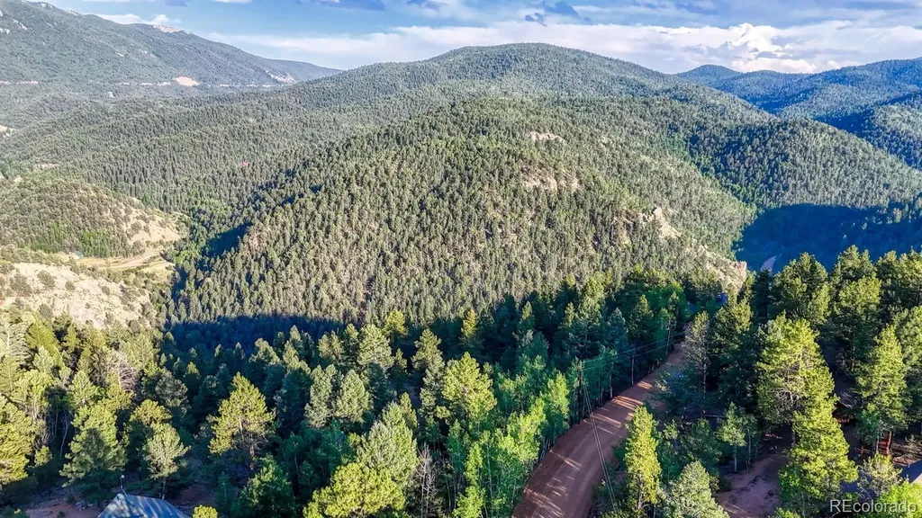 364 Blue Spruce Road Divide CO 80814