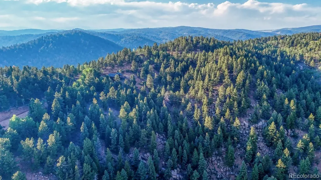 364 Blue Spruce Road Divide CO 80814