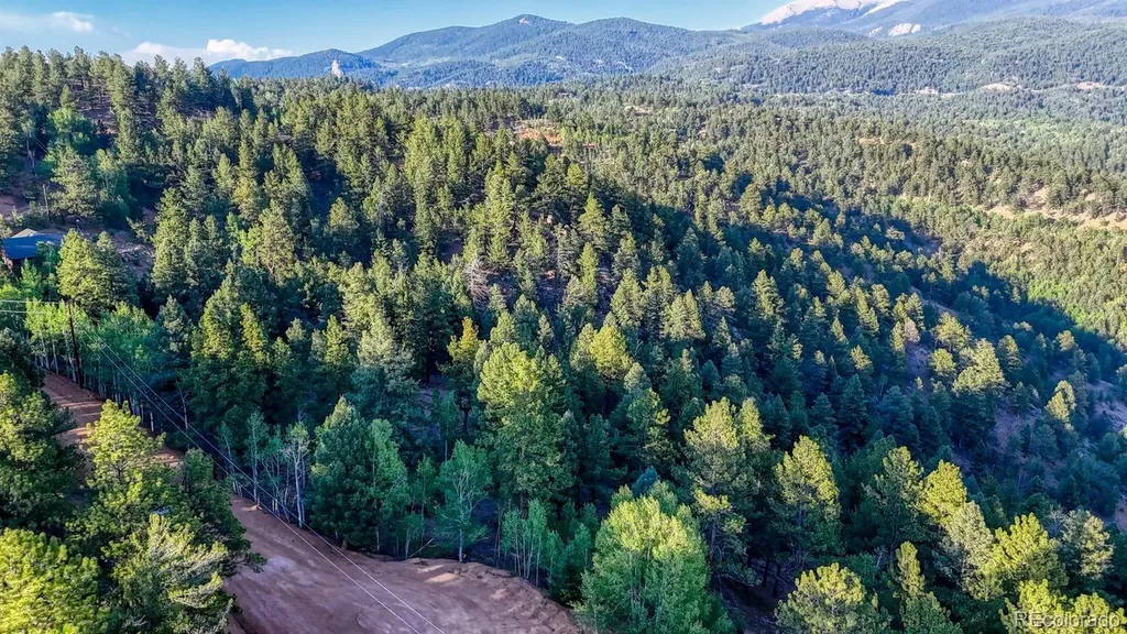 364 Blue Spruce Road Divide CO 80814