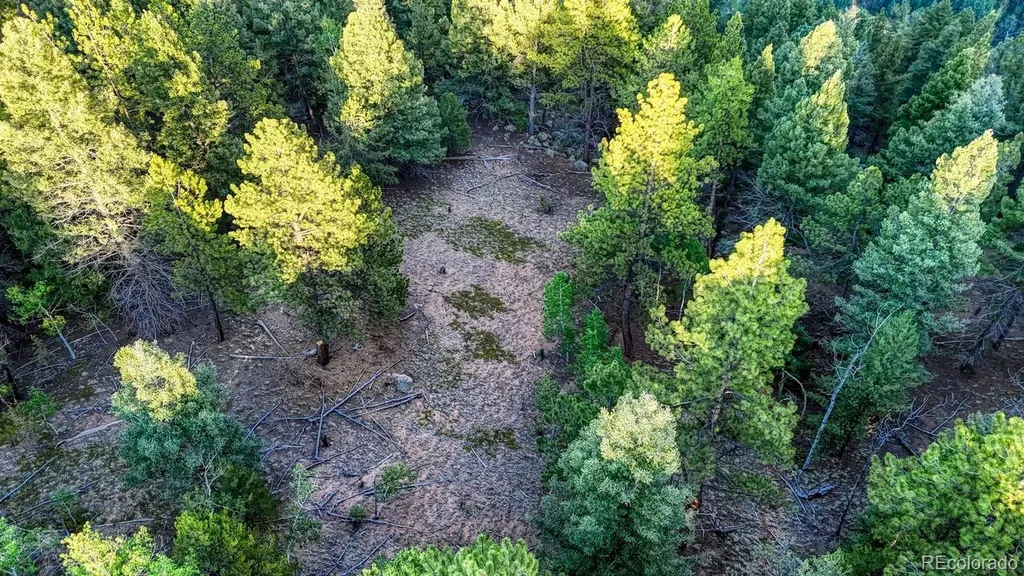 364 Blue Spruce Road Divide CO 80814