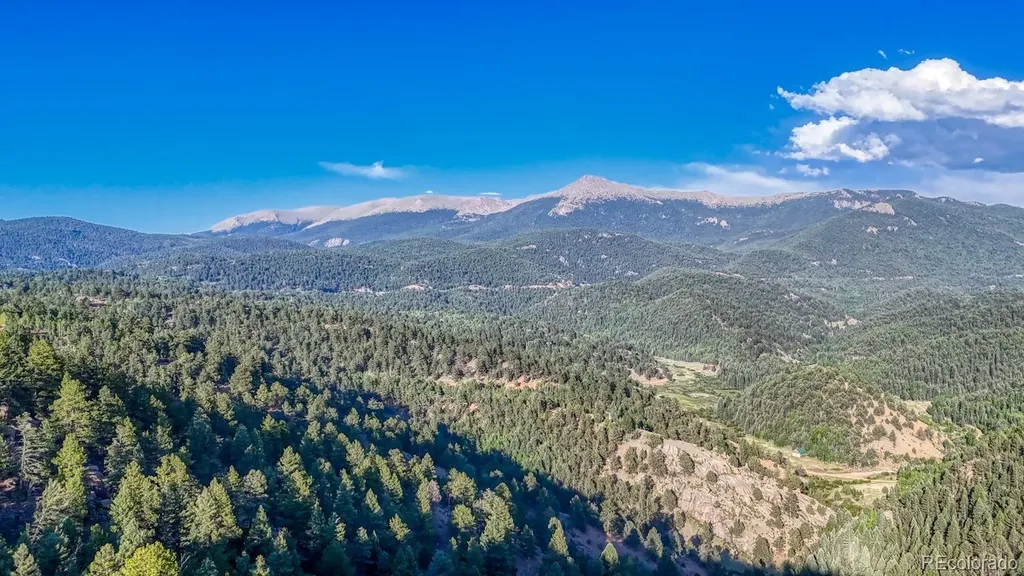 364 Blue Spruce Road Divide CO 80814