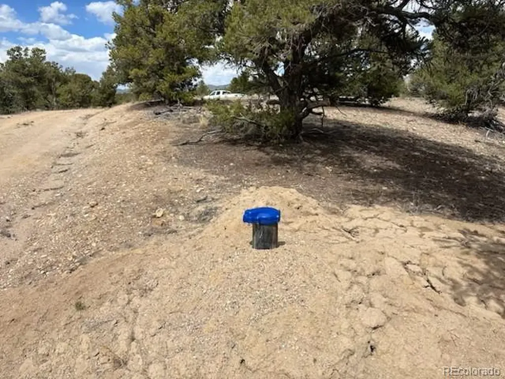 10314 Rawhide Creek Road Nathrop CO 81236