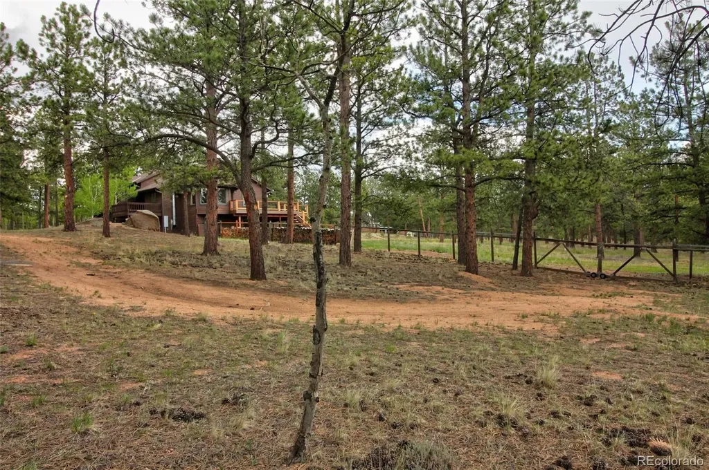 850 Hangmans Road Bailey CO 80421