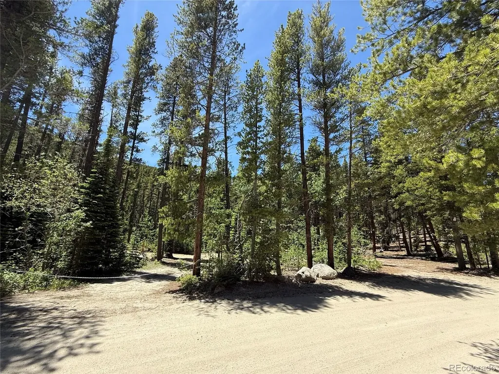 19 Rainbow Road Idaho Springs CO 80452